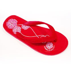 in door slipper