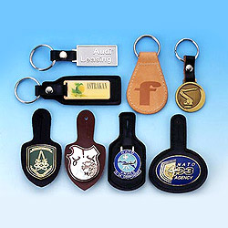 insignia key fobs