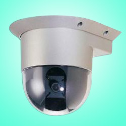 ip cameras 