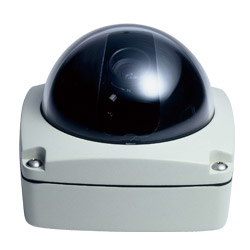 ip cameras