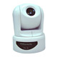 ip cameras 