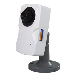 ip cameras