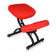 Ergonomic Chair image