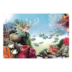 3d-ocean-placemat 