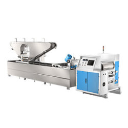 Automatic-Transfer-Printing-Machine