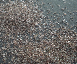 Brown-corundum-powder-and-grit 