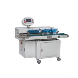 Continuous-Vacuum-Gas-Flush-Band-Sealing-Machine 