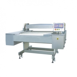 Continuous-Vacuum-Packaging-Machine 