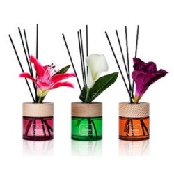 Fragrance-Reed-Diffuser 