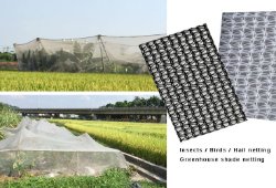 HDPE Farming Greenhouse Sun Shade Net