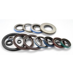 Main-Lip-Sticky-PTFE-Type-Oil-Seal