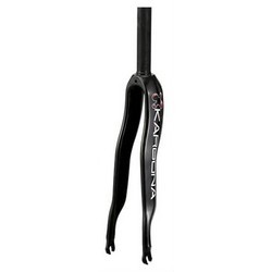 Moncoque-full-carbon-racing-fork