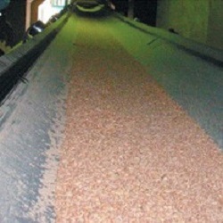 Oil-Resistant-Conveyor-Belt