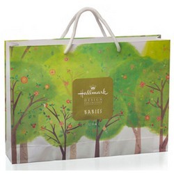 Paper Shopping Bag With Rope Handles