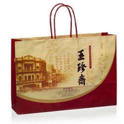 Paper-Shopping-Bag-with-Twisted-Paper-Handles1