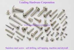 Stainless-Steel-Screw 