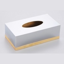 Stainless-Tissue-Box 