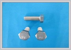 Titanium-Gr-2-Hexagon-Head-Screws 