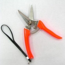 pruning-shear