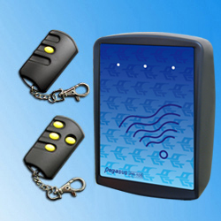 Simple Door Remote Access Controllers