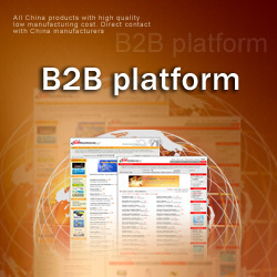 B2b Platform