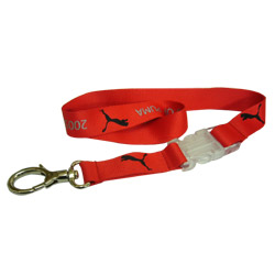 lanyard 