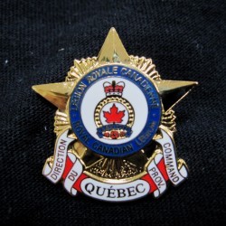 lapel pins