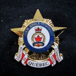 Insignia Badges