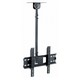 Ceiling Mounts