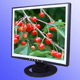 Liquid Crystal Displays image