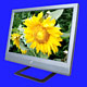 LCD Displays