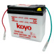 lead acid batteries 