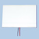 LED Backlights