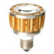 LED Spotlights