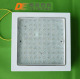 LED Ceiling Lights