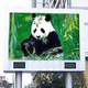 Outdoor LED Signs image