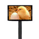 LED Panels image