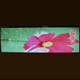 LED Screen image