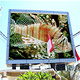 Outdoor LED Displays