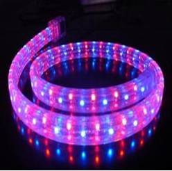 led lightings