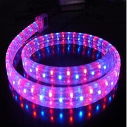 led lightings