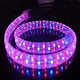 led rope light 