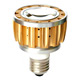 LED Bulbs image