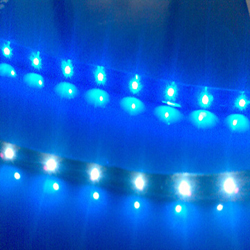 led strips