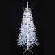 Christmas Trees image