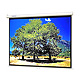 Manual Projection Screens