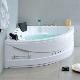 massage bathtubs 