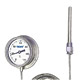 mercury capillary thermometers 