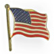 Flag Lapel Pins image