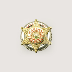metal pin and badge 